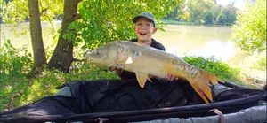 Mirror Carp