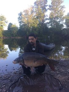 Mirror Carp