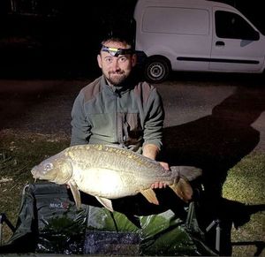 Mirror Carp
