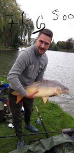 Mirror Carp