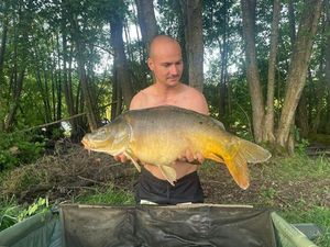Mirror Carp