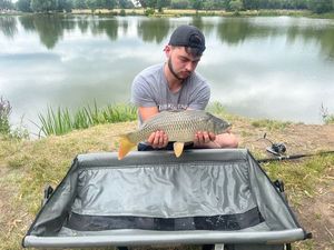 Common Carp