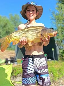 Common Carp