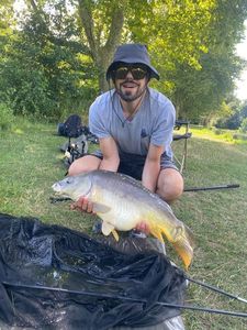 Mirror Carp