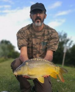 Mirror Carp