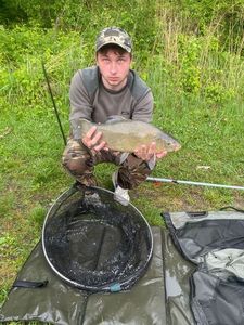 Tench
