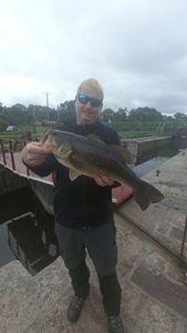 Largemouth Bass