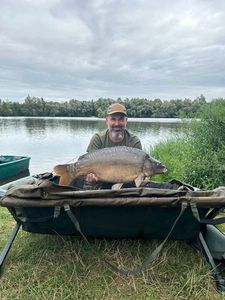 Mirror Carp