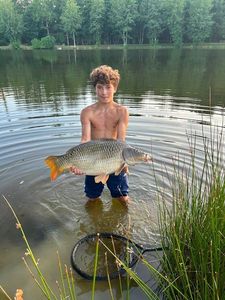 Common Carp