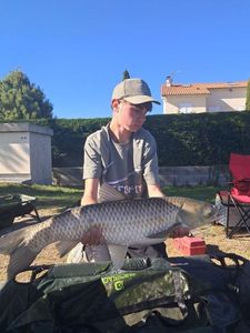 Grass Carp