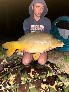 Mirror Carp