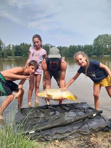 Common Carp