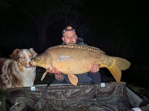 Mirror Carp