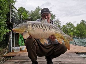 Mirror Carp