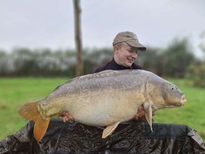 Mirror Carp