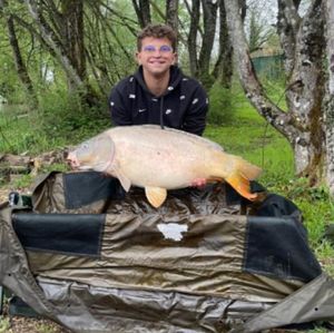 Mirror Carp