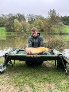 Mirror Carp