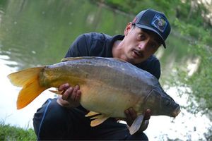 Mirror Carp