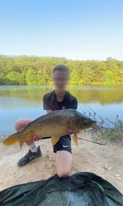 Mirror Carp