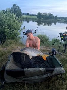 Mirror Carp