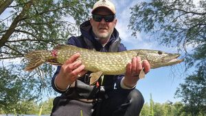 Northern Pike