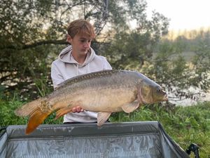 Mirror Carp