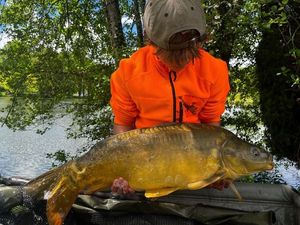 Mirror Carp
