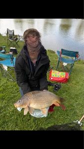 Common Carp