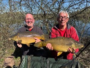 Mirror Carp