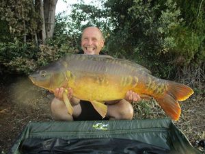 Mirror Carp
