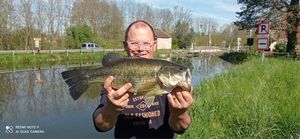 Largemouth Bass