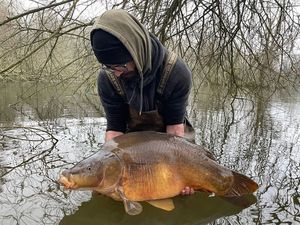 Mirror Carp