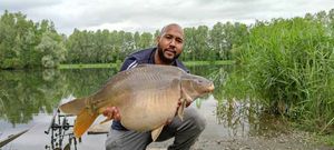 Mirror Carp