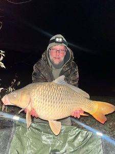 Common Carp