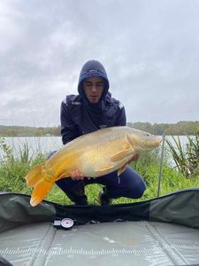 Mirror Carp