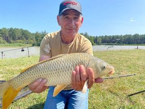 Common Carp