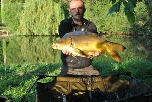 Mirror Carp