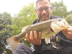 Largemouth Bass