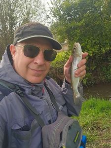 Rainbow Trout