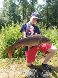 Mirror Carp