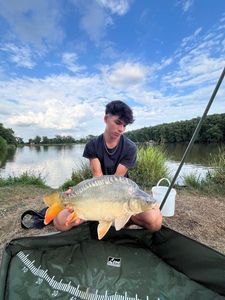 Mirror Carp