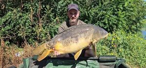 Mirror Carp