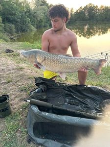 Grass Carp