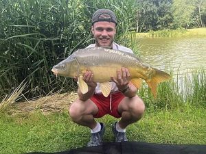 Mirror Carp