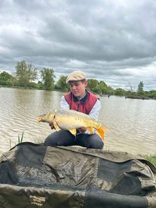 Mirror Carp