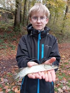 Northern Pike