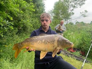 Mirror Carp