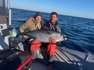 Bluefin Tuna