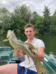 Northern Pike