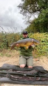 Mirror Carp